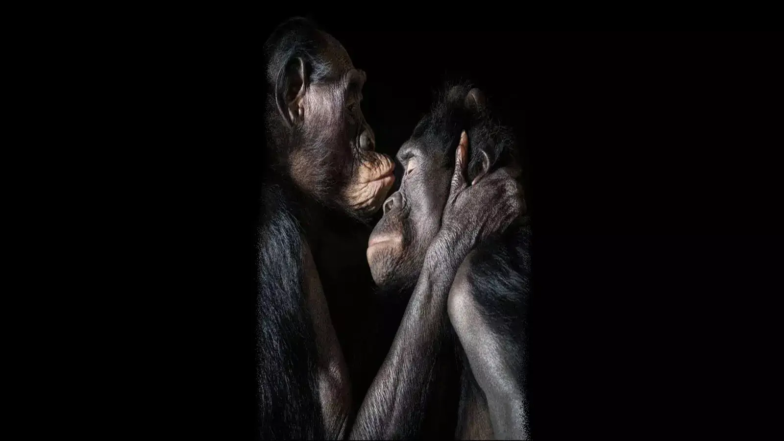 En això hauria de consistir la nostra veritable tasca: aprendre a ser (fer-nos) humans, en plenitud: créixer, desplegar-se, desenvolupar-se humanament...